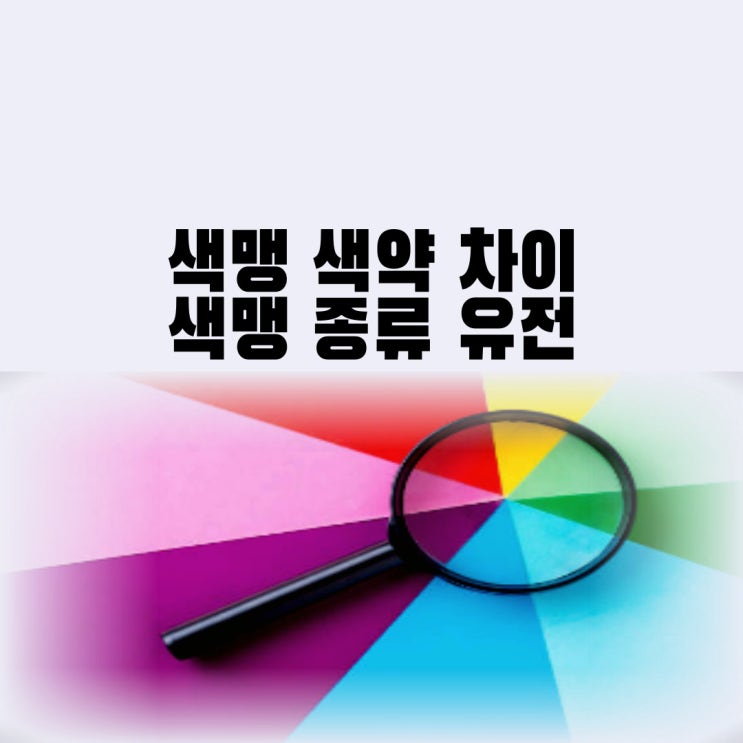 색맹 색약 차이 색맹 종류 유전 색각이상(치료) : 네이버 블로그