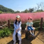 함안 악양생태공원 핑크뮬리 아이와 가볼만한곳 추천