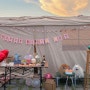반려견 동반 캠핑 : 포포 생일파티
