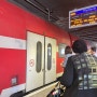 세계여행 DAY173::이스라엘🇮🇱 텔아비브 올드자파에서 공항까지 버스/기차 타고 가는 법!_220822