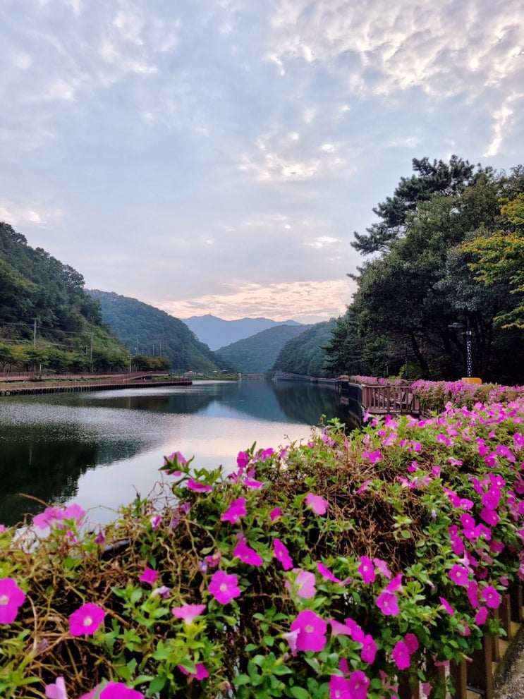 부산 정관 걷기좋은곳 병산저수지 테마길