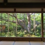 Kyoto(1) - 출국✈️ 호센인, 산젠인, 시노쇼몬, 후시미 이나리 신사