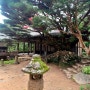 안동 봉정사 영산암 한국의 10대 정원 볼거리 가볼만한곳