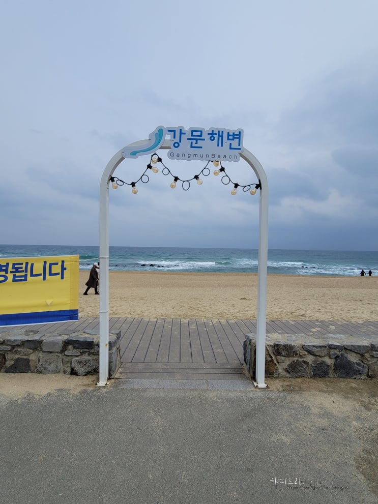 강릉갈만한곳 강릉강문해변,강릉바우길걷고 강릉횟집서 강릉물회,강릉홍게 냠냠 !! : 네이버 블로그