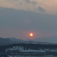 마치 카멜레온같이