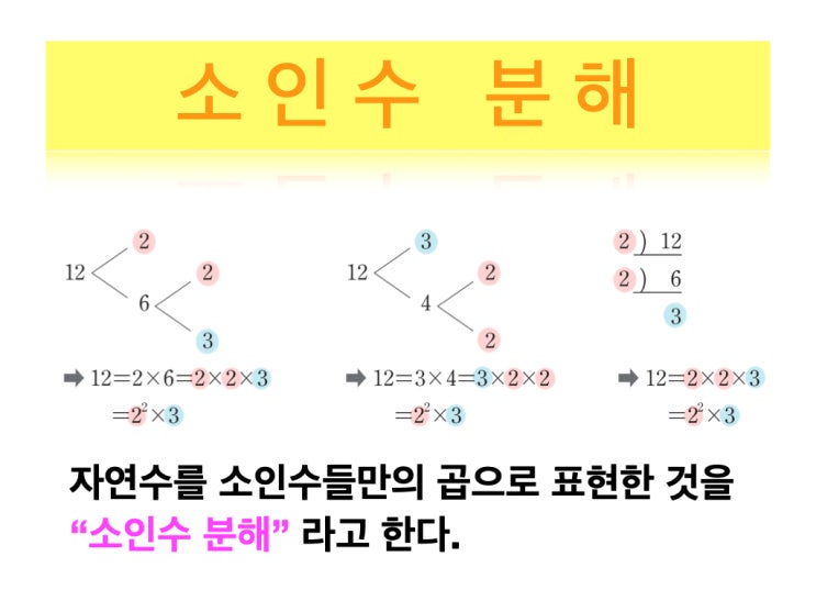 소수란? 합성수란? #소인수분해를 하려면? 100이하의 자연수에서 소수의 갯수는? 소수의 끝자리는 모두 1,3,7,9 이다 ...