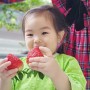 어린이집 겨울방학 아기랑 갈만한곳 천안 딸기체험 실내농장