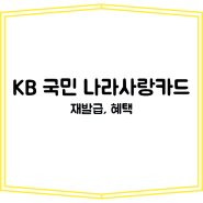 KB 국민 나라사랑카드 재발급 해보자(ft. 혜택)
