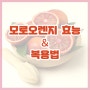 모로 오렌지 효능 및 복용법 (ft. 체중 관리)