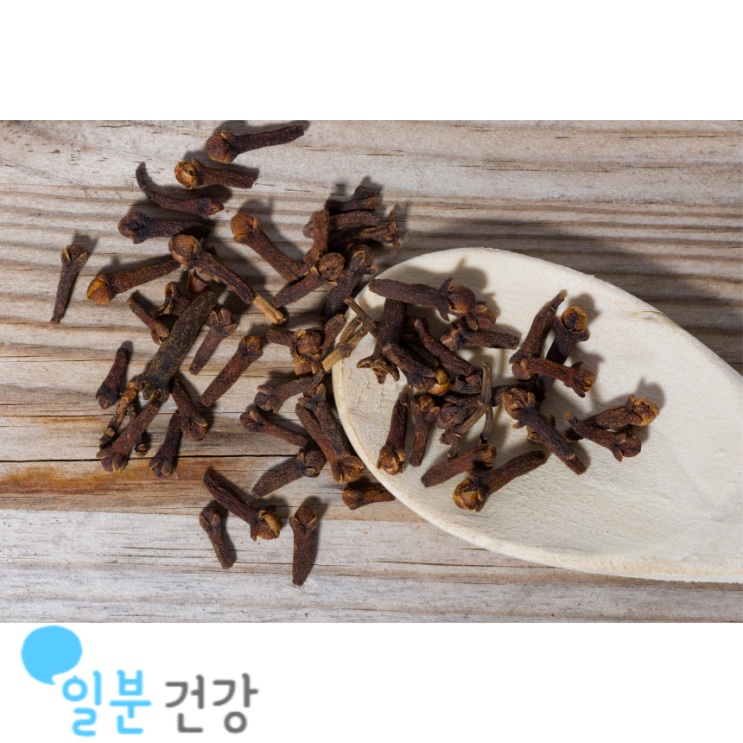정향효능 7가지 