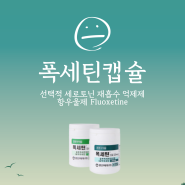 우울증약 폭세틴(푸록틴)캡슐 효과 및 부작용 정리