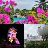 싱가포르 센토사 호텔 샹그릴라 라사 센토사, 싱가포르 가족 여행 숙소 추천