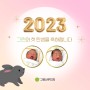 2023년 검은 토끼의 해, 그린의 첫 탄생을 축하합니다