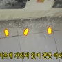 싱크대 쥐 방역 작업-똥을 찾아 유입구멍 차단!
