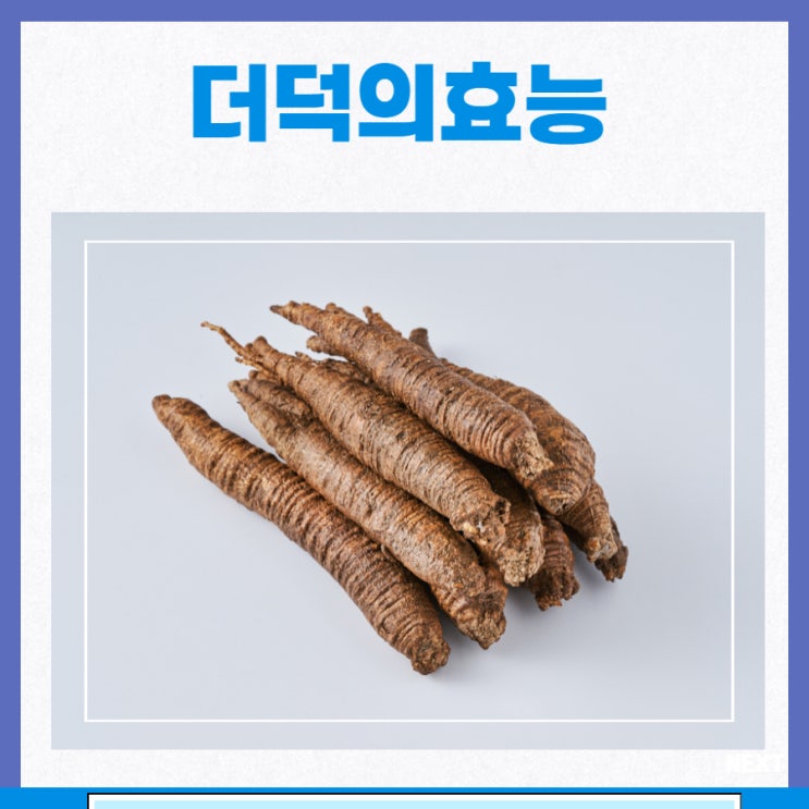 더덕의효능 부작용 더덕 효능 산더덕 야생더덕 더덕주효능 : 네이버 블로그