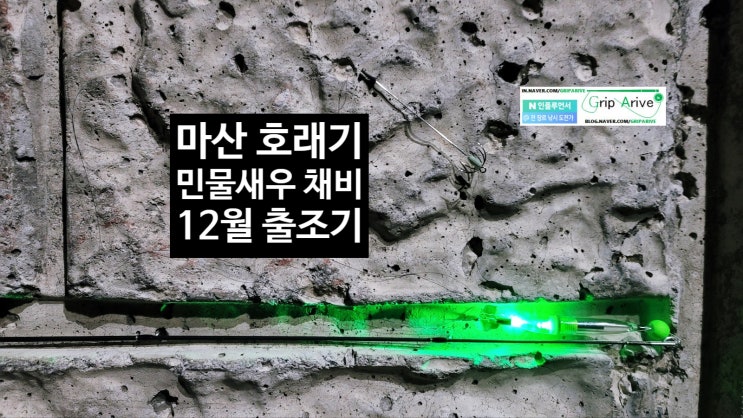 221229 경남 창원시 마산합포구 설진방파제, 원전항 도보권 호래기생미끼 (민물새우) 출조 : 네이버 블로그