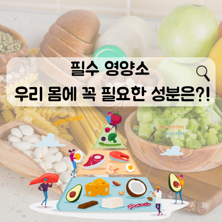 필수 영양소 우리 몸에 꼭 필요한 성분은?! : 네이버 블로그