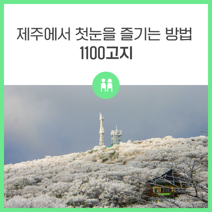 제주에서 첫눈을 즐기는 방법 1100고지