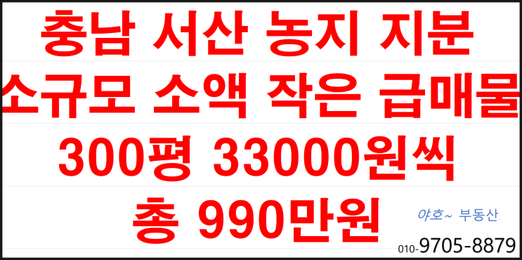 서산 간척지 농지 지분 300평 33000원씩 총 990만원 공시지가 이하 1천만원이하 급매물 부동산 토지 투자 땅 매매 충남 ... 서산 간척지 농지 지분 300평 33000원씩 총 990만원 공시지가 이하 1천만원이하 급매물 부동산 토지 투자 땅 매매 충남 ...