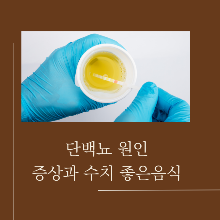 소변 거품 단백뇨 원인 : 증상과 수치를 알아보고 예방하고 좋은 음식까지 알아보기 : 네이버 블로그