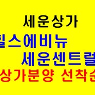 세운 힐스에비뉴 세운센트럴 세운 복합상가 역세권 수익형 부동산