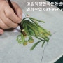 평생교육바우처카드로수업할수있는 연꽃그림 민화소품작품그리기