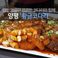 입맛없고 맵콤한 맛이 생각날땐 양평 '황금코다리' (양평읍 추천맛집)