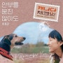 [정보] 221231 이효리 '안부를 묻진 않아도' (캐나다 체크인 OST) 음원 발매 (원곡 : 이상순, 이진아 편곡)