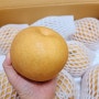 목감기에 좋은 과일 (w. 싱싱프룻)