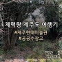 [제주도 4일차] 추천코스 제주현대미술관★ / 미디어아트 체험 공공수장고 굿굿