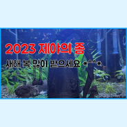 2023년 계묘년 새해 복 많이 받으세요 :)