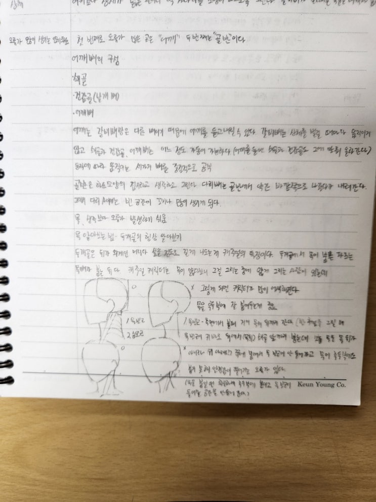 콜로소 환급 챌린지 8기 평일 미션 5회차, 콜로소 시선을 사로잡는 캐주얼 캐릭터 디자인 완성 CLASS+(일러스트레이터챤 ...
