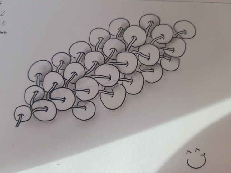 젠탱글 패턴Poke root : 네이버 블로그