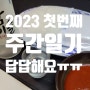 2023년 첫 주간 일기, 미루고 미루다 쓰는 나의 일기