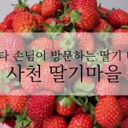 사천 인기대박인 노룡동 딸기맛집 딸기마을