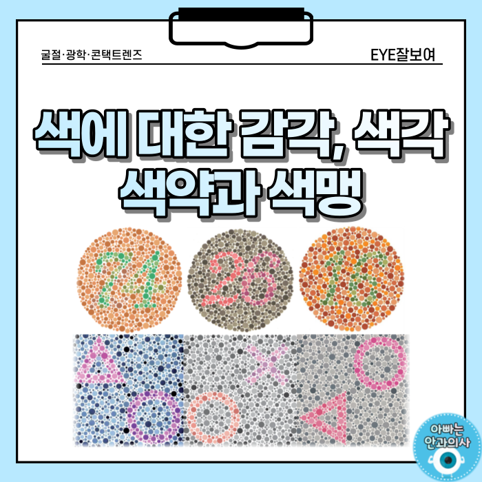 색각(Color Vision) - 색각검사, 색각이상(색맹, 색약), 선천적 색각이상, 후천적 색각이상 : 네이버 블로그