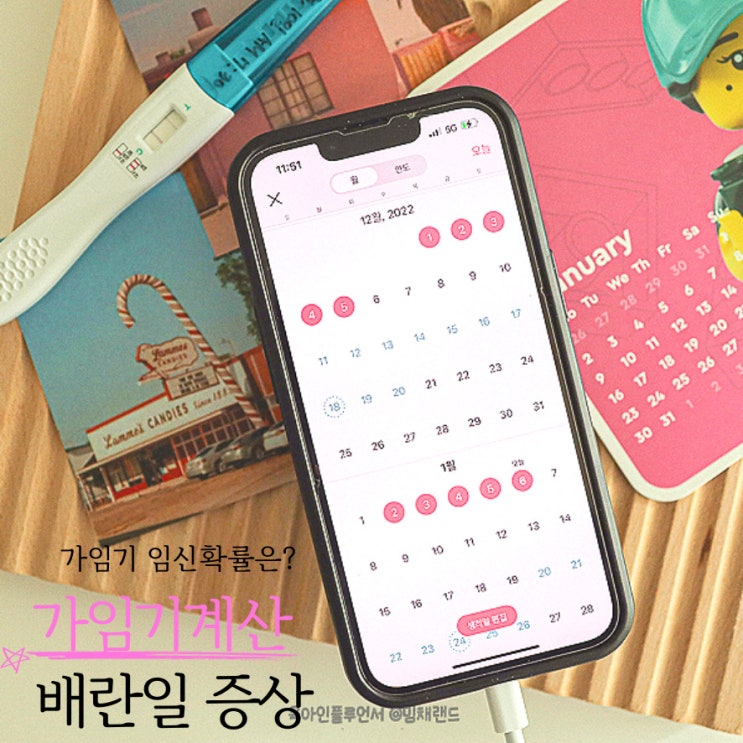 배란일 계산법 가임기 임신확률 배란기 뜻 배란통 증상 : 네이버 블로그