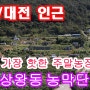 (공주주말농장) 상왕동 주말농장, 수자원공사 주말농장 매매