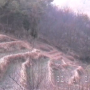 벌교땅골 (벌교장좌월곡) 옛 풍경 (1992년 추억의 사진)