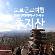 도쿄근교여행 후지산 구경::신주쿠에서 버스타고 아라쿠라야마 센겐공원 가는법