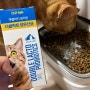 고양이 유산균 추천 장과 구강 건강 한번에 챙길 수 있는 씨디랩 더블락토 너무 잘먹어