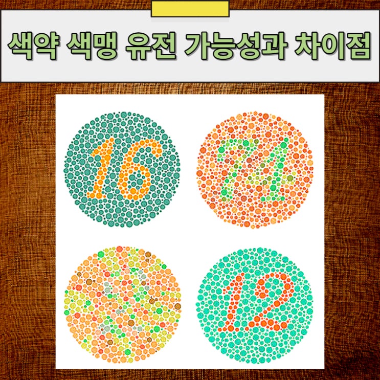 색약 색맹 유전 가능성과 차이점 알아봐요 : 네이버 블로그