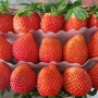 딸기 효능 제철과일 , 딸기청 만들기