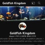 유튜브 Goldfish Kingdom