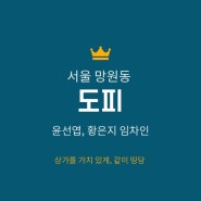 서울 망원동, 도피(dopy), 윤선엽 황은지 임차인 이야기