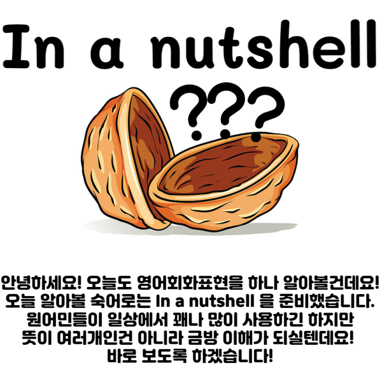 '요약하자면, 쉽게말하자면' 영어표현 In a nutshell : 네이버 블로그