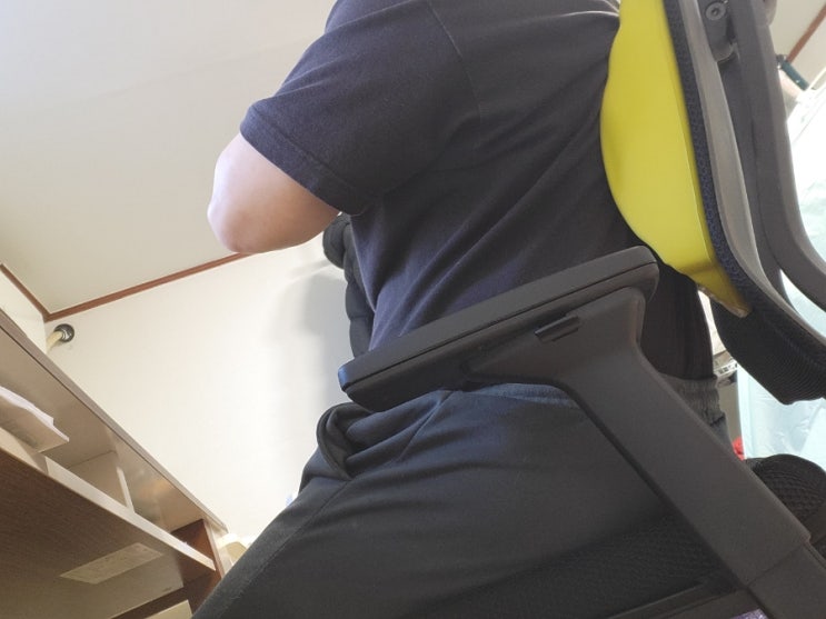 의자 허리받침대 등받이쿠션 씨가드룸바 내돈내산 1개월 사용 후기 : 네이버 블로그