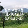 경북 고령 대가야고분군 나는 살아서 묻히지 않았다.