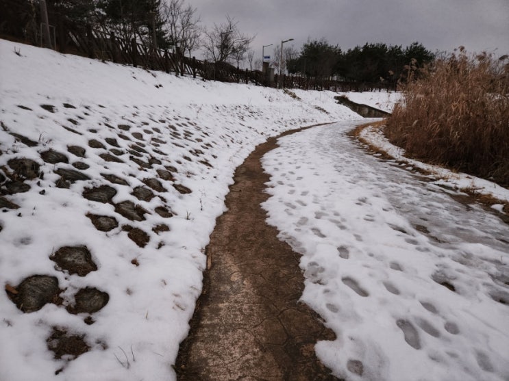 날씨가 따뜻하니 지사울공원에서 빙판길 산책도 즐겁네요