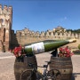 이탈리아 베네토 화이트 와인산지 소아베(soave) 여행 계획